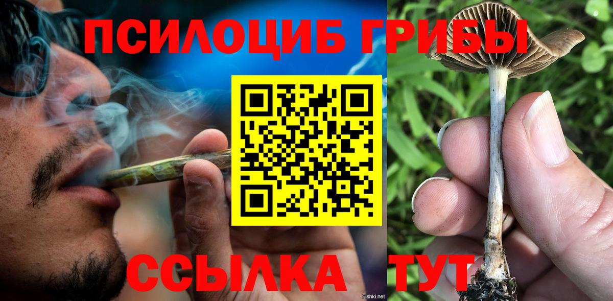 Псилоцибиновые грибы MAGIC MUSHROOMS Подольск
