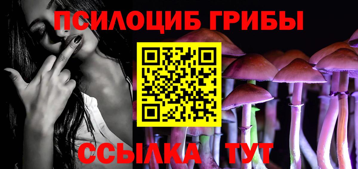 Подольск  Псилоцибиновые грибы GOLDEN TEACHER  Вход с VPN 